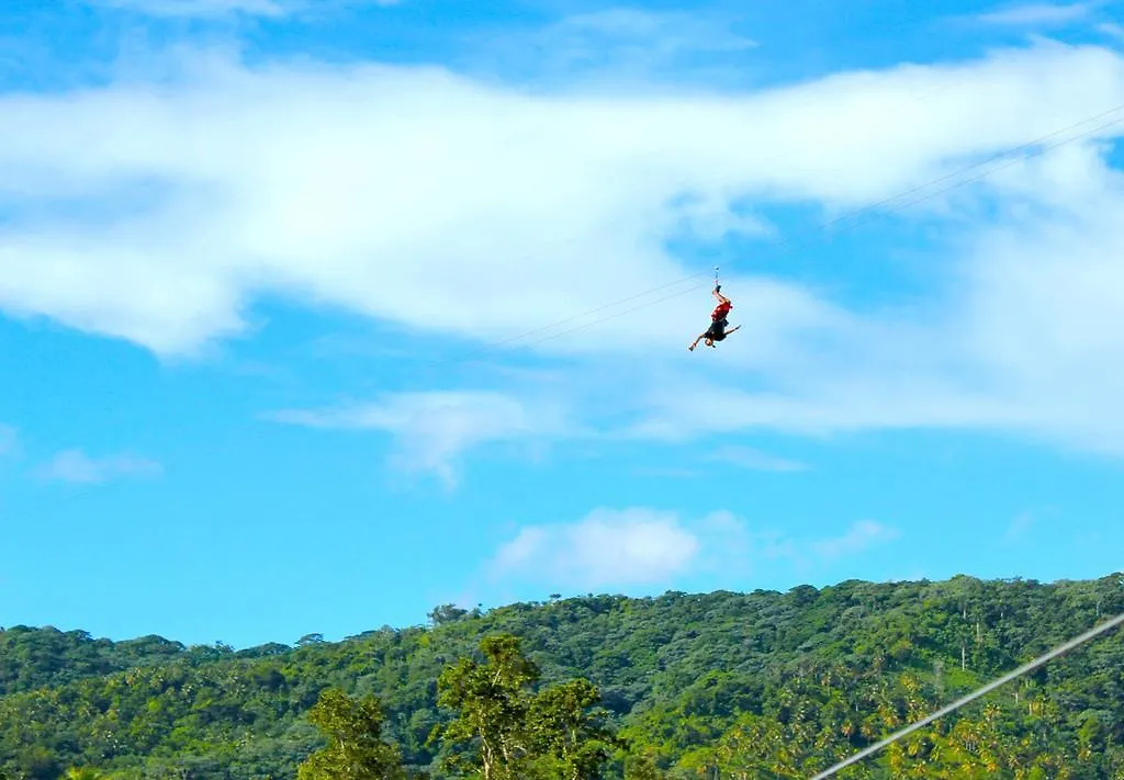 Dominican Tree House Village Samana Orman Evi