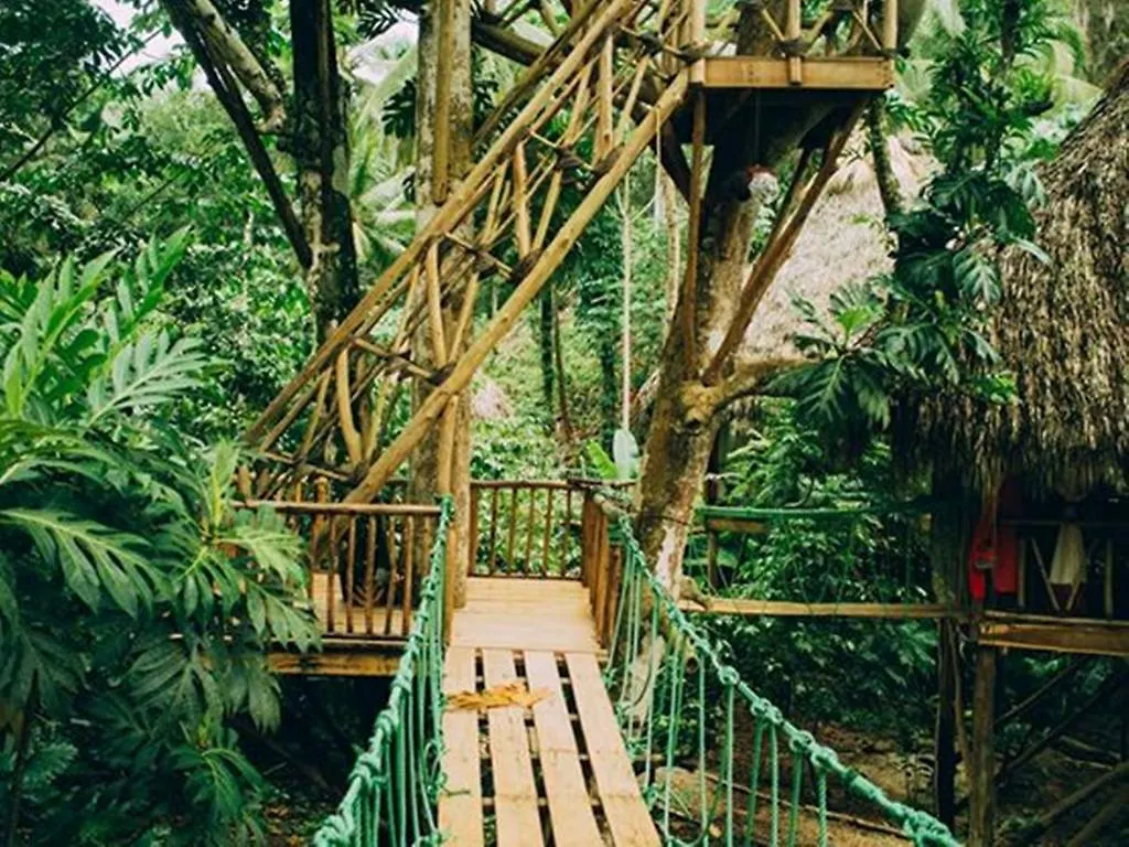 Dominican Tree House Village Samana Dominican Republic