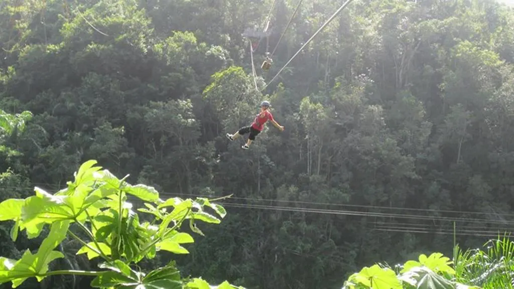 Dominican Tree House Village Samana Orman Evi