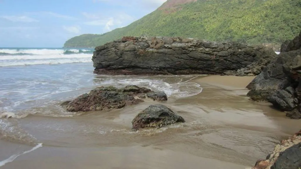 Dominican Tree House Village Samana 0*,