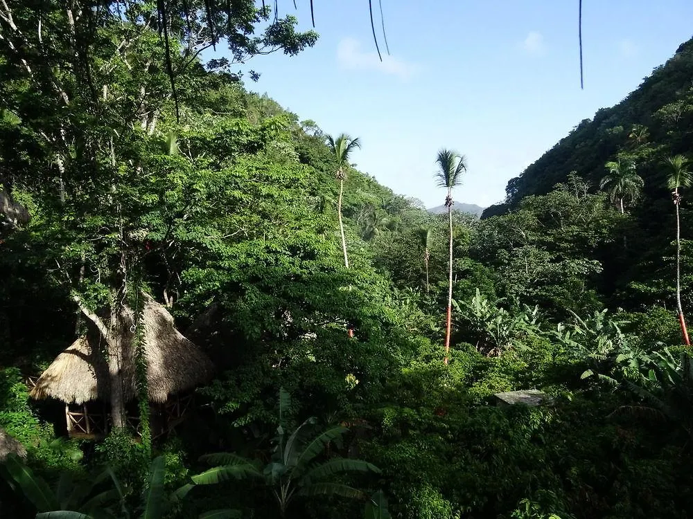 Dominican Tree House Village Samana Orman Evi