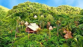 Dominican Tree House Village Samana