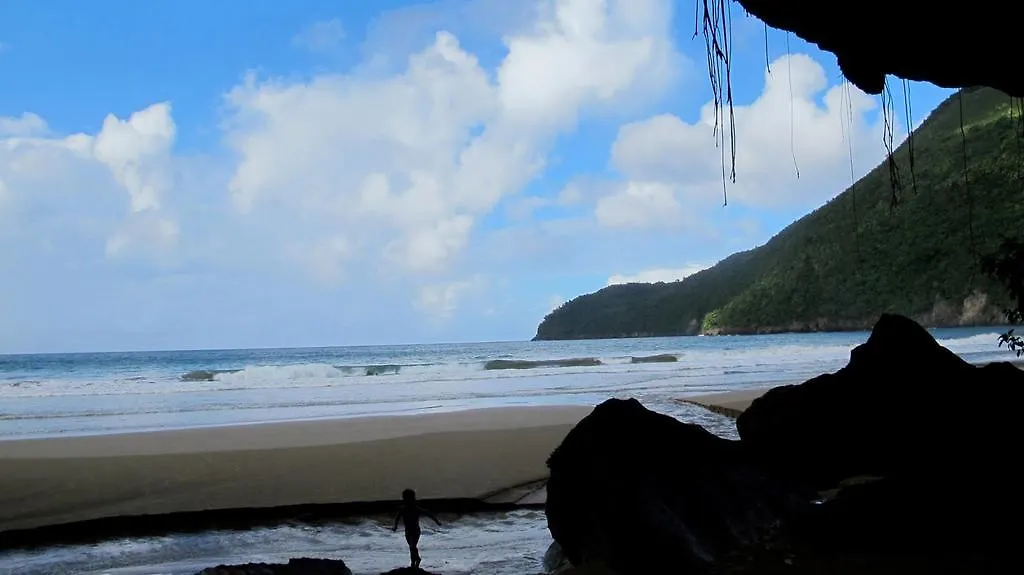 Jaktstuga Dominican Tree House Village Santa Barbara De Samana