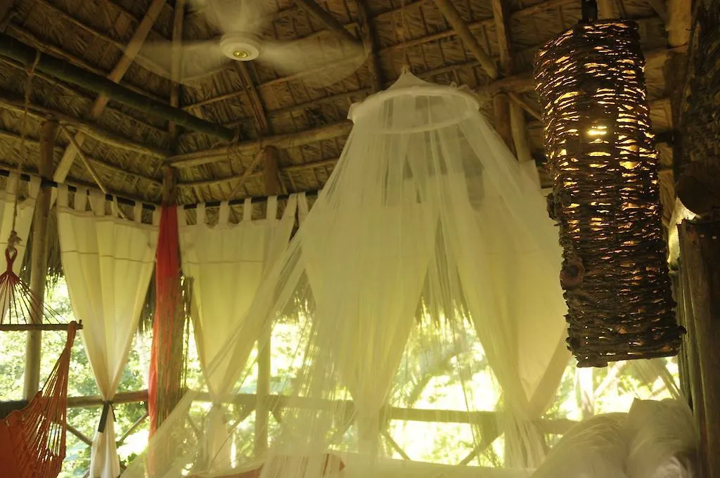 Jaktstuga Dominican Tree House Village Santa Barbara De Samana Dominikanska republiken