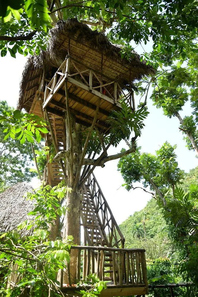 Dominican Tree House Village Santa Barbara De Samana Dominikanska republiken